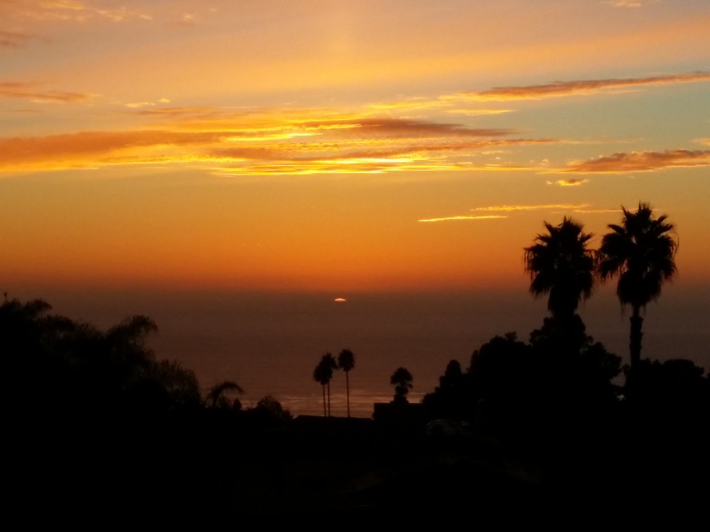 la jolla 033