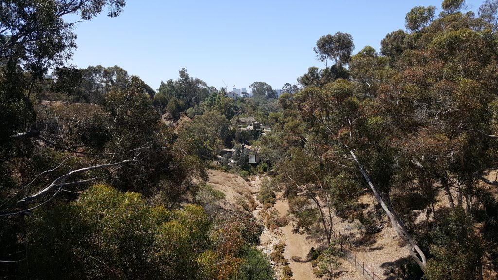 the midpoint of the Spruce Street Suspension Bridge